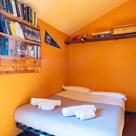 Spacious Mountain View Attic Barzio